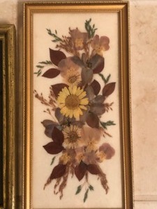 lot 179 image: More Framed Pressed Flowers
