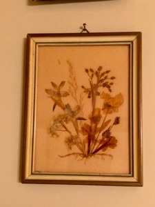 lot 182 image: Framed Pressed Flowers