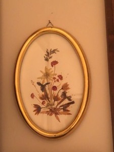 lot 184 image: Framed Pressed Flowers
