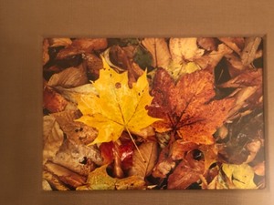 lot 183 image: Pretty Wall Decor