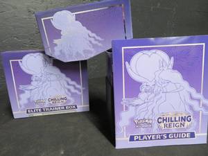 lot 11 image: POKEMAN TRADING CARD GAME