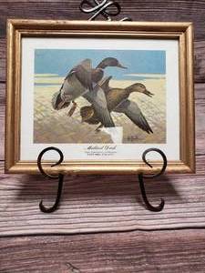 lot 56 image: Waterfowl Pictures
