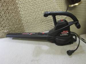 lot 17 image: (EW5) Duramaxx Powerful 230 MPH Ele...