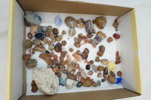 Variety of rocks