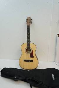 Guitar in case
