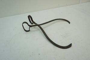 Ice tongs