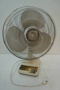 Fan