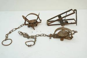 Animal traps