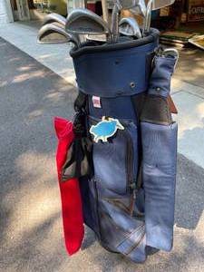 lot 200 image: Hotz Golf Bag w True Temper Palm Springs Select and Nancy Lopez Golf Clubs