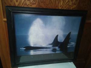 lot 168 image: Orca whales photo framed (32 x 26.5)
