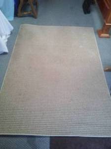 lot 171 image: Area Rug. 5 x 7 feet.