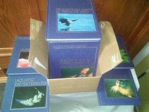 lot 774 image: 15 Book Set -  All the Worlds Animals .