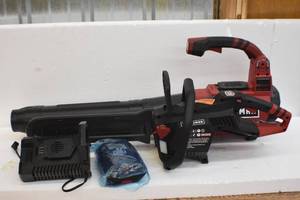 60 volt blowerchainsaw