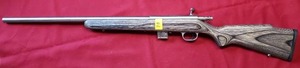 .17 HMR  Marlin Rifle
