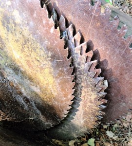 lot 241 image: Assorted Vintage Saw Blades