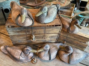 lot 215 image: Six Styrofoam Ducks w Weights & Wood Crate