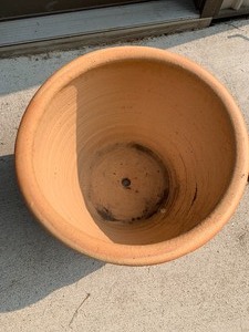 lot 234 image: Leaves and Berries Motif Planter