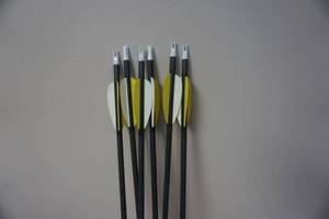 lot 26 image: 6 - Gold Tip Lightning Carbon Arrows With Field Tips