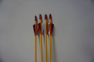 lot 32 image: 4  - Cajun 28 Cedar Target Arrows