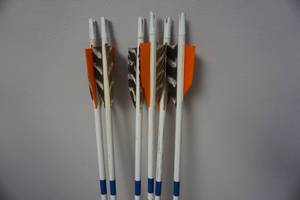lot 33 image: 6 - Cedar 24 Target Arrows