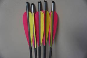 lot 101 image: 5 - HortonEaston XX75 LS2 Lite Cross Bow Bolts