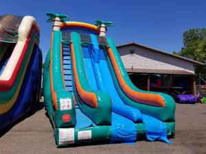 lot 359 image: 22 Tropical Dual Lane Dry Slide