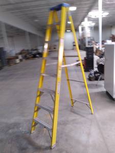 lot 9 image: 8 Werner Ladder...