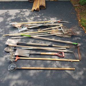 Yard Warrior Assortment