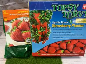 Strawberries, Strawberries, Strawberries