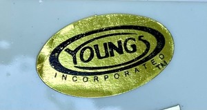 lot 78 image: Youngs Incorporated Chicken Cookie Jar