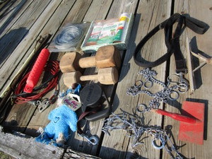 Dog Training Equipment