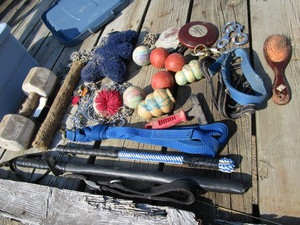 Dog Training Equipment