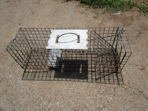 Havahart Live Trap