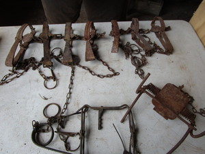 Victor, Blake & Lamb, Conibear Traps