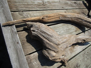Driftwood