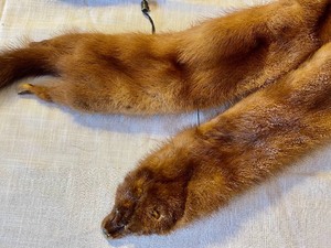 lot 60 image: Schlampp Furs Animal Pelt Stole