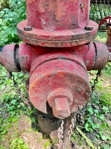 lot 266 image: 1971 St. Paul Fire Hydrant