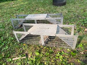 lot 345 image: 2 Havaheart Live Traps
