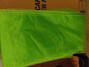 Lime green Sheer Runners...