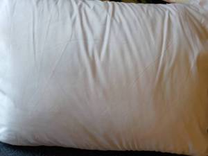 Mainstays SQ size Allergy Relief P...