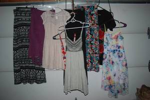 4 skirts, 5 dresses size Medium...