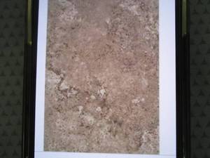 8 Cases Daltile Santa Barbara Pacif...
