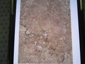 8 Cases Daltile Santa Barbara Pacif...