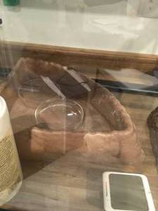 lot 48 image: Reptile Tank