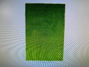 lot 60 image: Solid Shag Grass Green 5 ft. x 8 ft. Area Rug by Unique Loom