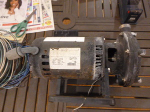 Century Pool & Spa Pump