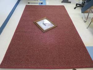 lot 167 image: FLOOR RUG  PICTURE