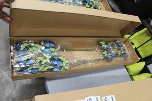 lot 915 image: Z Gallerie Butterfly Dcor (in box)  with Greenery