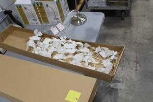 lot 918 image: Z Gallerie Butterfly Dcor (in box)  with Greenery
