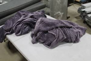 lot 1035 image: Lot of (2) Throw Blankets